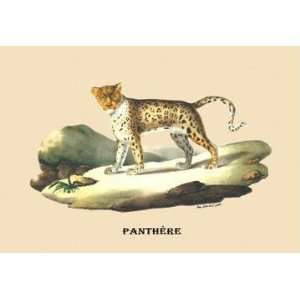  Exclusive By Buyenlarge Panthere (Panther) 24x36 Giclee 