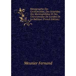   De Lambre De La Baltique (French Edition) Meunier Fernand Books