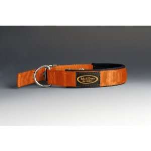  The Swagger Dog Collar
