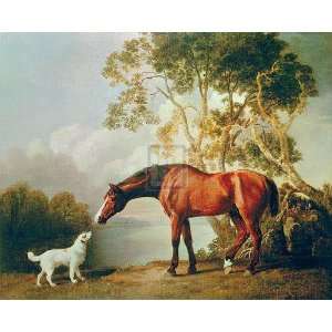  George Stubbs   Bay Horse And White Dog Gouttelette