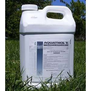  Aquathol K Liquid Herbicide with Endothall