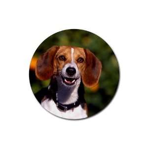  Beagle dog Round Rubber Coaster set 4 pack Great Gift Idea 