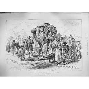  1884 WAR SOUDAN REFUGEES TOKAR CAMP TRINKITAT CAMELS