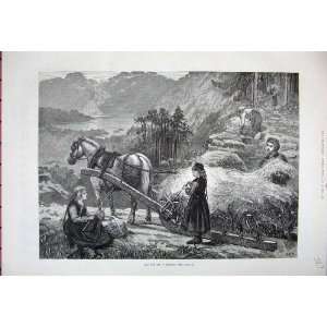  1881 Hay Harvest Norway Farming Horse Cart Mountains