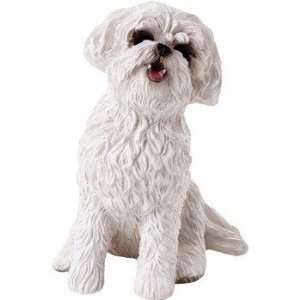  Bichon Frise   Small Size 