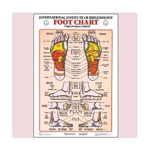  Reflexology Foot Chart, 17W x 31H   Model 558373 Health 