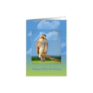  Birthday, 85th, Rough Legged Hawk Card Toys & Games