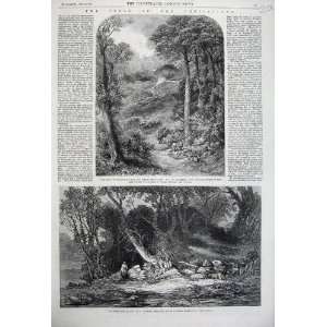  1861 Blackdown Surrey Highlands Woodland Glade Trees