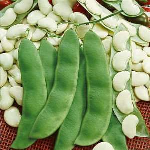   Heirloom Hendersons Bush Lima Butter Bean Seeds Patio, Lawn & Garden