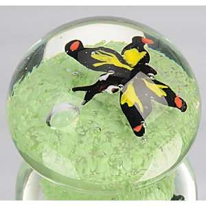 Murano Design Hand Blown Glass Art   Black Butterfly on Green Seabed 