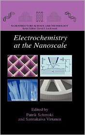 Electrochemistry at the Nanoscale, (038773581X), Patrik Schmuki 