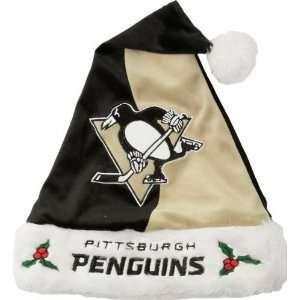  Pittsburgh Penguins Colorblock Santa Hat Sports 
