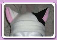 white cat ears anime hat with one black ear  