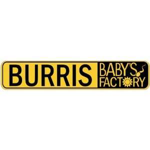   BURRIS BABY FACTORY  STREET SIGN