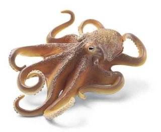  Octopus theme homeschool unit study   Pre K to 2 / 4 to 8