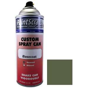 12.5 Oz. Spray Can of Alloy Metallic (cladding) Touch Up 
