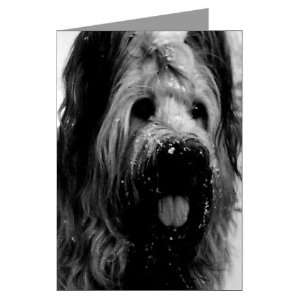  Briard Puppy Greeting Cards Pk of 10 by  Health 