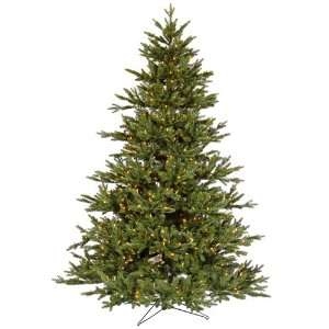   22933   6.5 x 57 Noble Fir 450 Clear Lights Christmas Tree (G112166