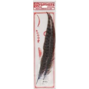  Pheasant Tail Feathers 2/Pkg Assorted 