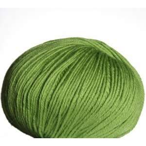 Cascade 220 Superwash Yarn   802   Green Apple Arts 