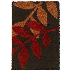  Shaw Encore Cadia Brown 8700 3 3 x 5 Area Rug