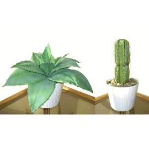  2 x Artificial Cacti, Artificial Succulent Plants