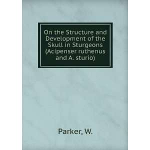   in Sturgeons (Acipenser ruthenus and A. sturio) W. Parker Books