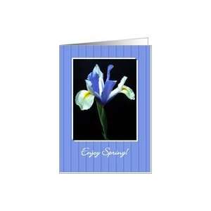 Seasons   Spring, Iris Card