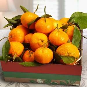 Golden State Mandarins Gift Box  Grocery & Gourmet Food