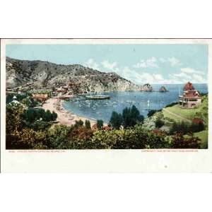  Reprint Santa Catalina Island CA   Avalon 1900 1909