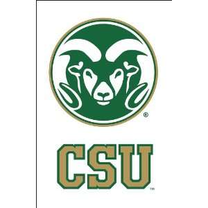  Colorado State Garden Sized Double Sided Applique Flag 