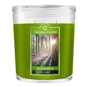 Pack of 2 Colonial Candle Spring Awakening Scented Green Jar Candles 