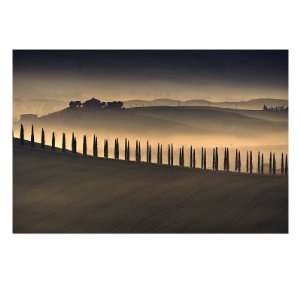 Trees in Mist I Giclee Poster Print by Jim Gamblin, 40x30  