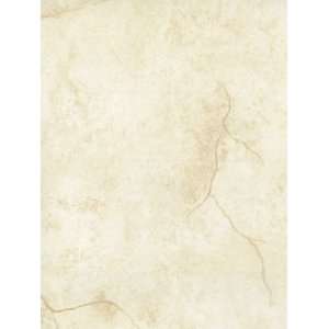  Sponged Marble Wallcovering