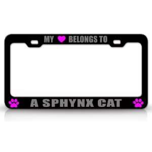  MY HEART BELONGS TO A SPHYNX Cat Pet Auto License Plate 