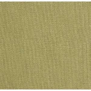  1747 Rondell in Celery by Pindler Fabric