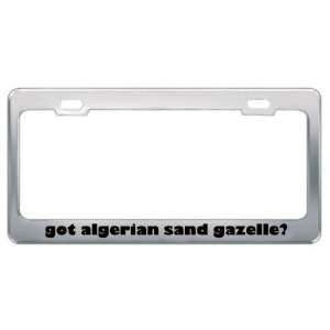 Got Algerian Sand Gazelle? Animals Pets Metal License Plate Frame 