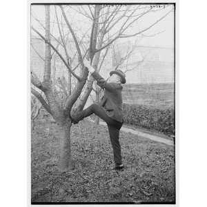  J.C. Smith about to climb a tree