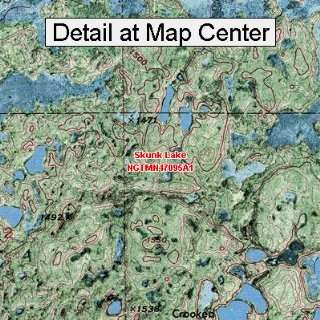  USGS Topographic Quadrangle Map   Skunk Lake, Minnesota 