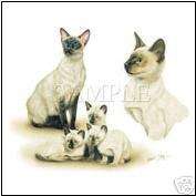 SIAMESE CATS & KITTENS Fabric for Quilting & Sewing  