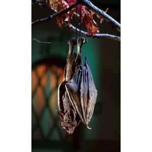   Halloween Realistic Bat Prop by Collections Etc Patio, Lawn & Garden