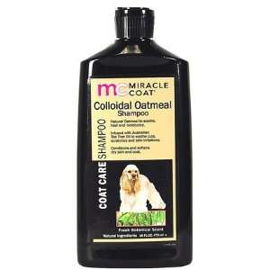 Colloidal Oatmeal Shampoo   16 oz (Quantity of 3)