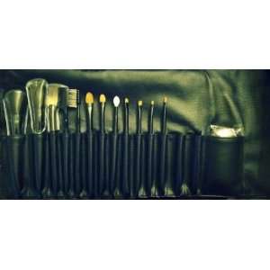  Art Net Brush Set   14Pcs Beauty