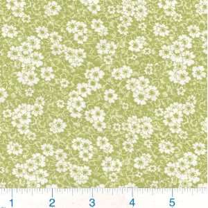  45 Wide Color My World Daisies Lime Fabric By The Yard 