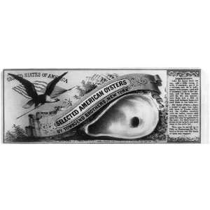  c1867 Selected American Oysters by Townsend Brothers,NY 