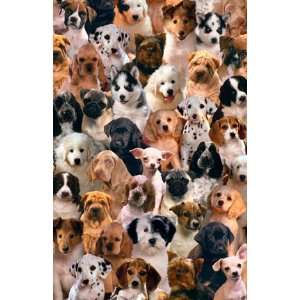 CUTE PUPPIES DOG COLLAGE PET POSTER 24X 36 #2555