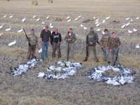 Saskatchewan Waterfowl Hunts   Duck , Geese hunt  