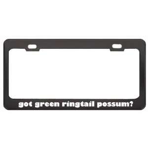 Got Green Ringtail Possum? Animals Pets Black Metal License Plate 