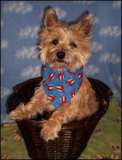 Theres nothing cuter than a dog in a bandana