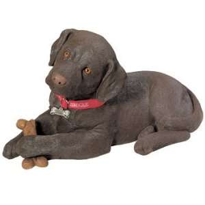  Labrador Retriever Chocolate Pup   by Sandicast